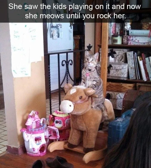Image credit: Reddit | Mugglemad32