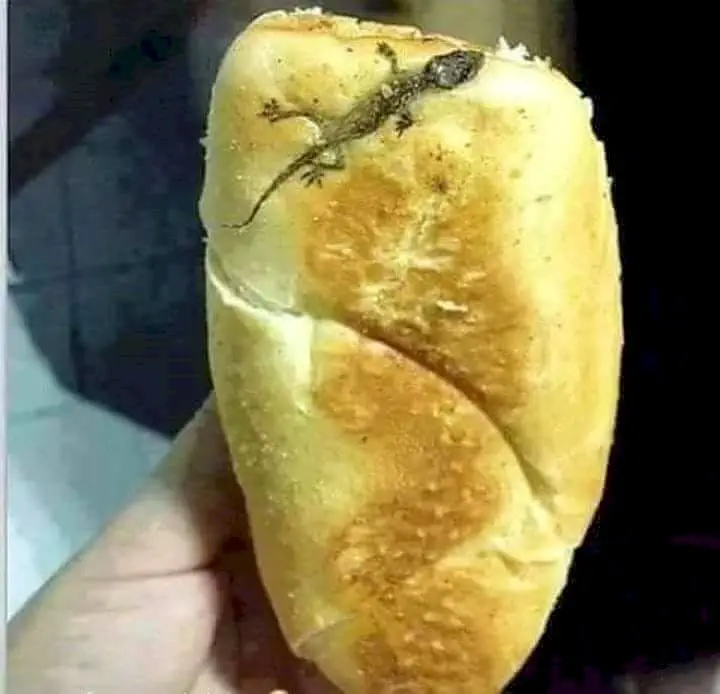 Image credit: Reddit | pikachonggo