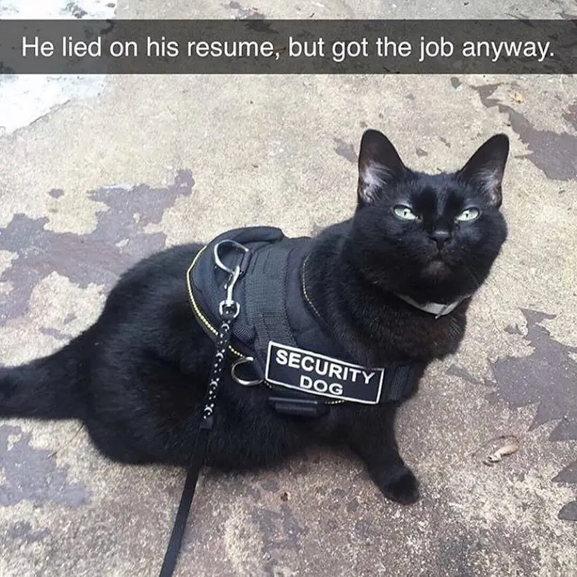 Image credit: Reddit | etb190