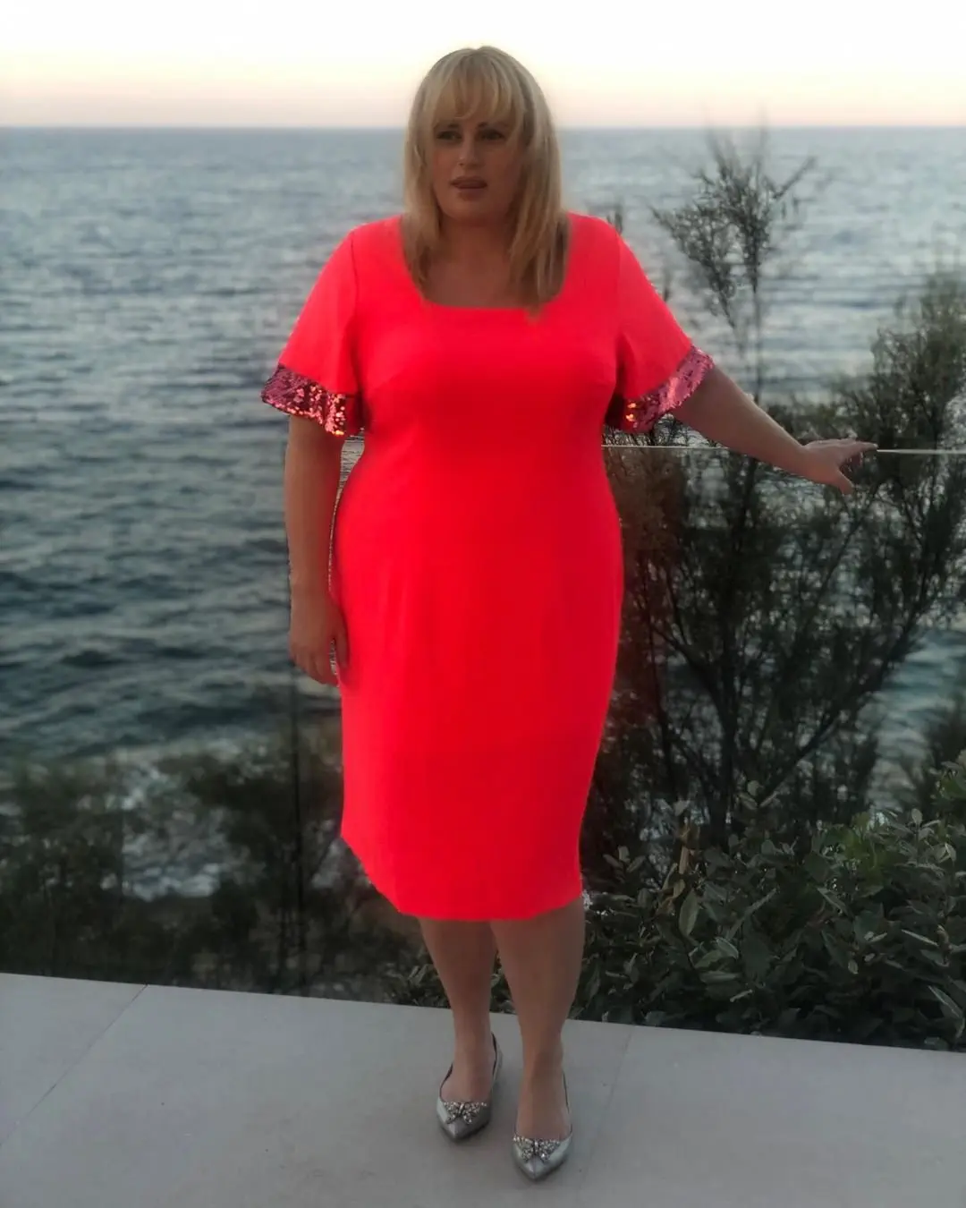 Image credit: Instagram | @rebelwilson