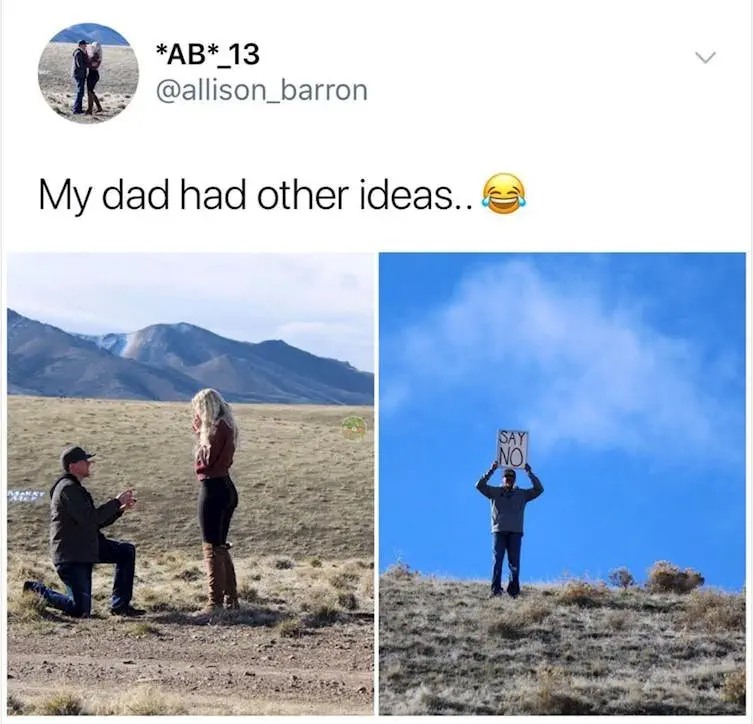 Image credit: Twitter | @allison_barron