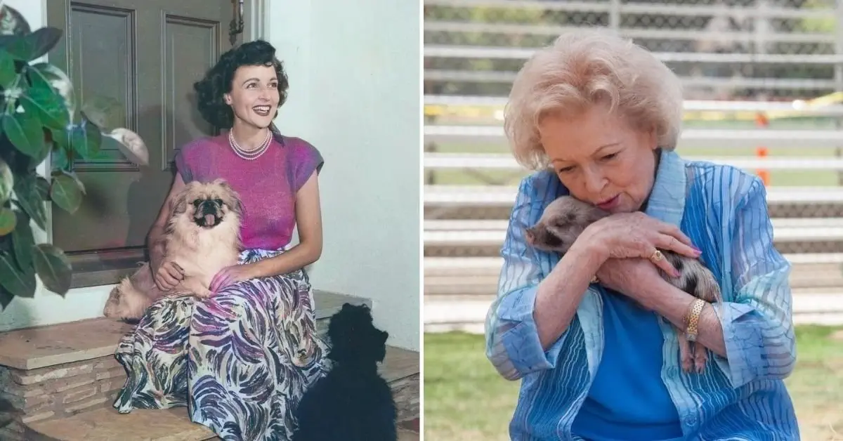 Image credit: @bettymwhite / @bettymwhite