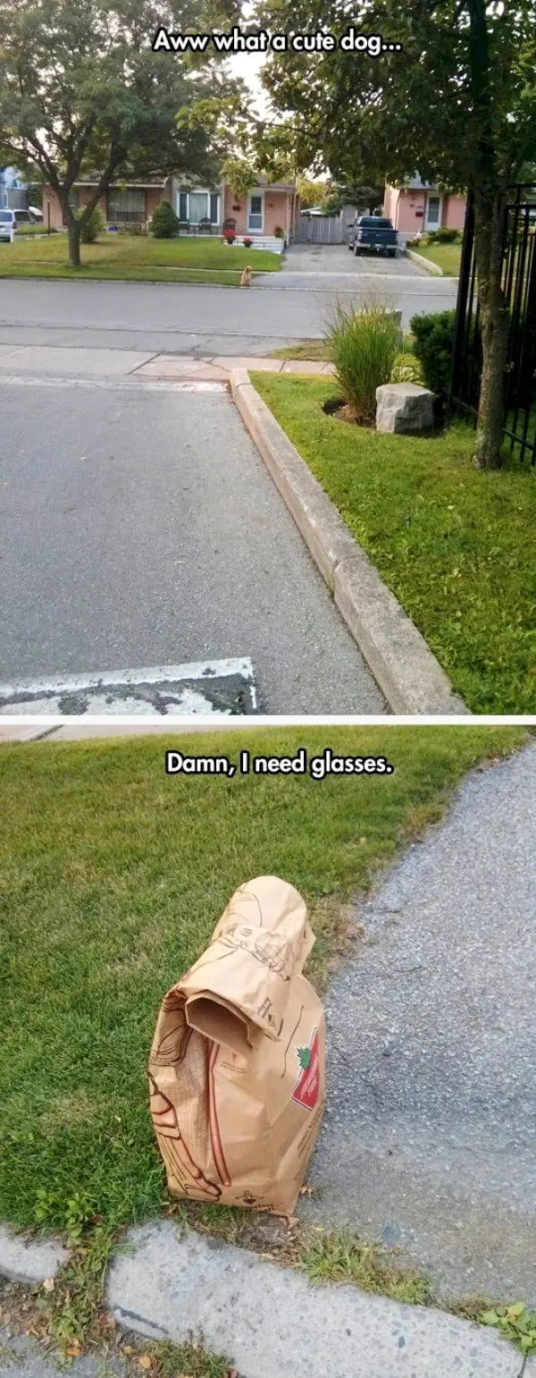 Image credit: The Chive | The Chive