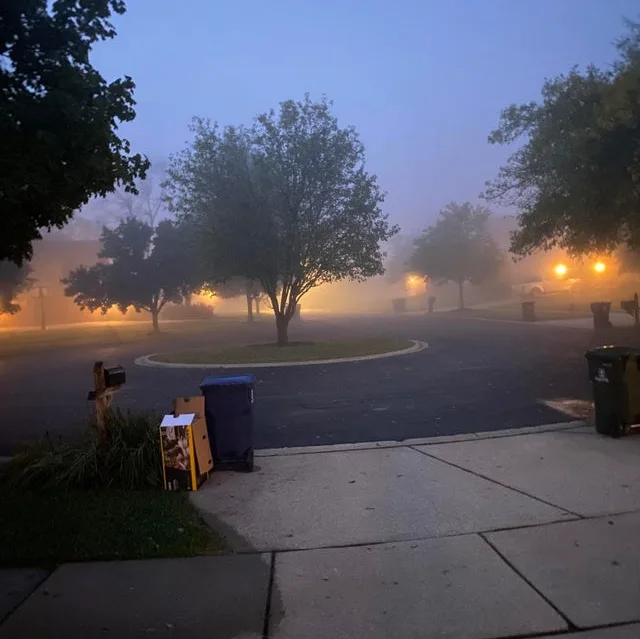 Image credit: Reddit | Lester_Willington