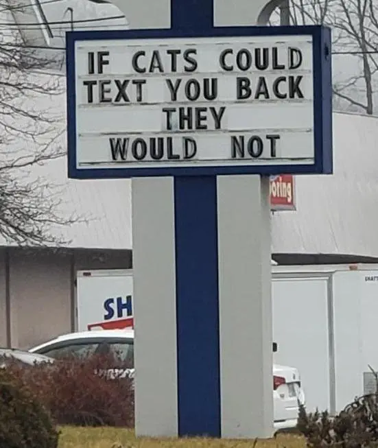 Image credit: Reddit | TheVentiLebowski