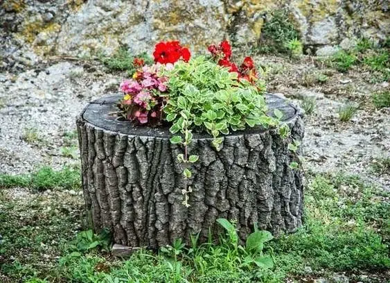 Image credit: Pinterest