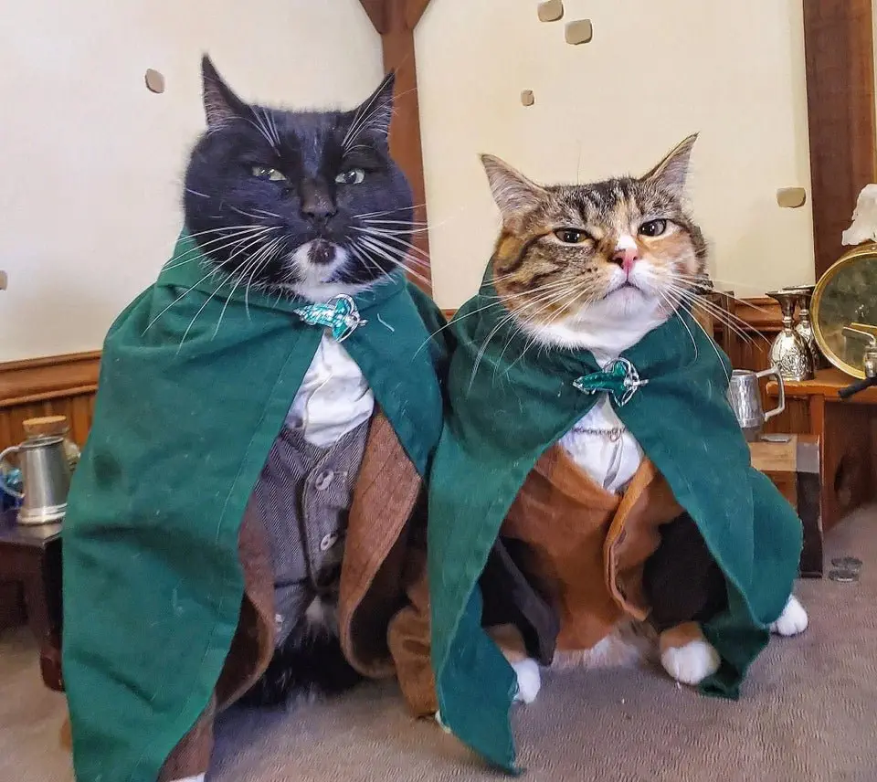 Image credit: Reddit | Freyu