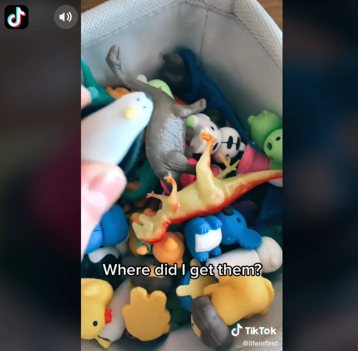 Image credit: TikTok | @lifeinfirst