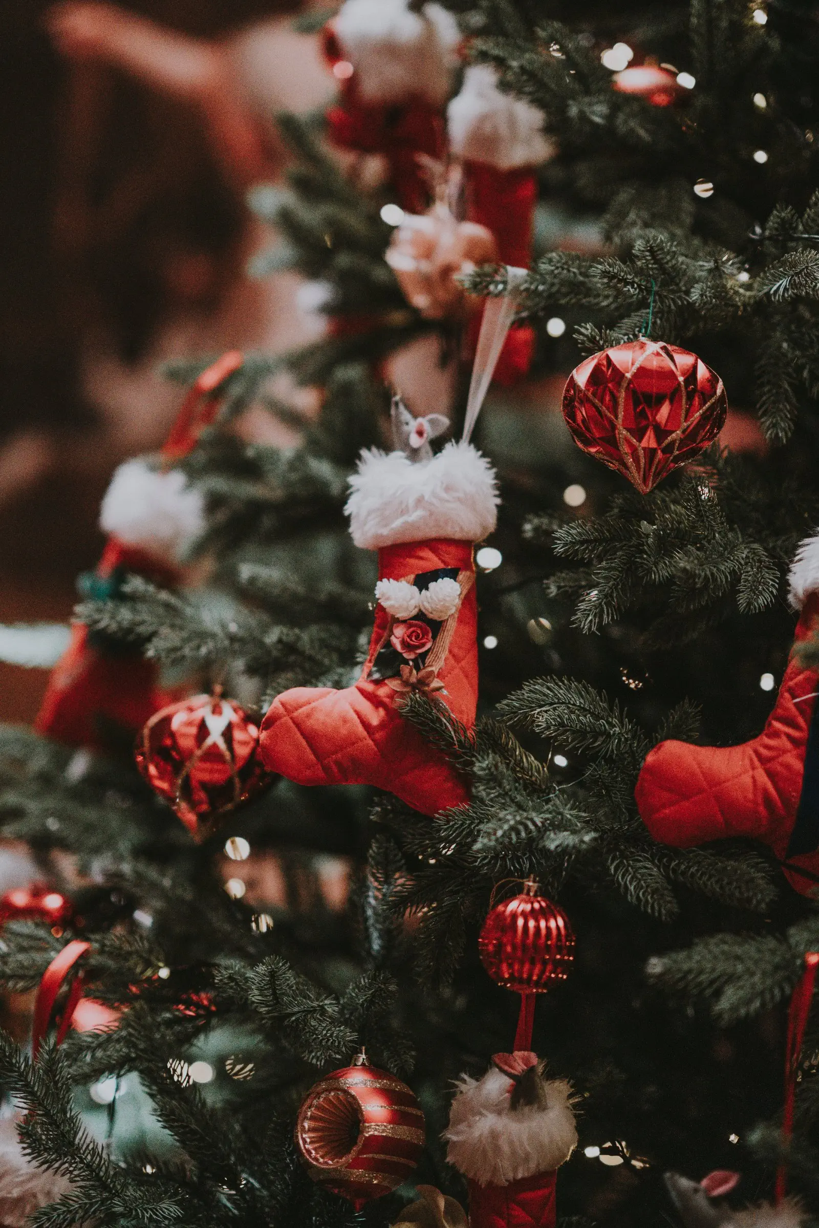 Image credit: Unsplash | Annie Spratt