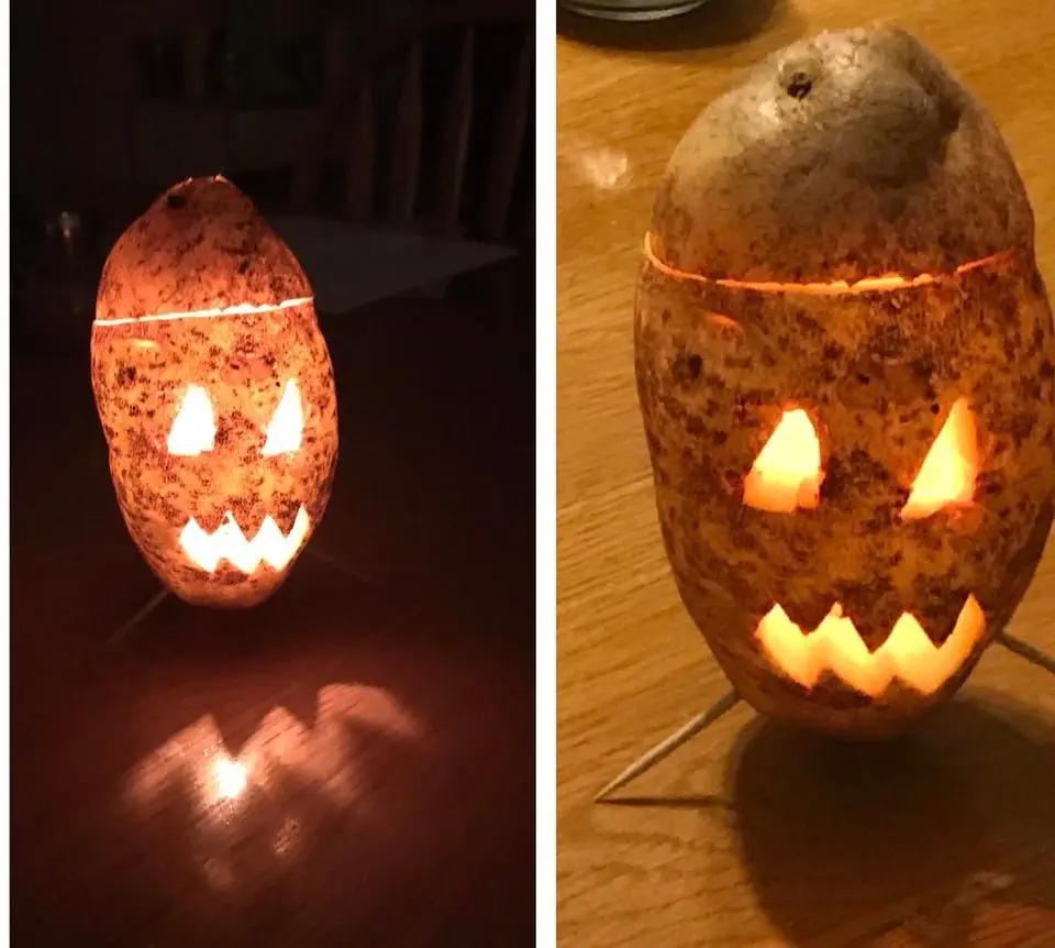 Image credit: Reddit | TatersArePrecious