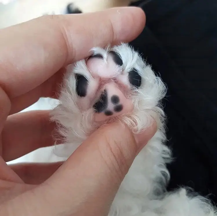 Image credit: Reddit | uwuuwu