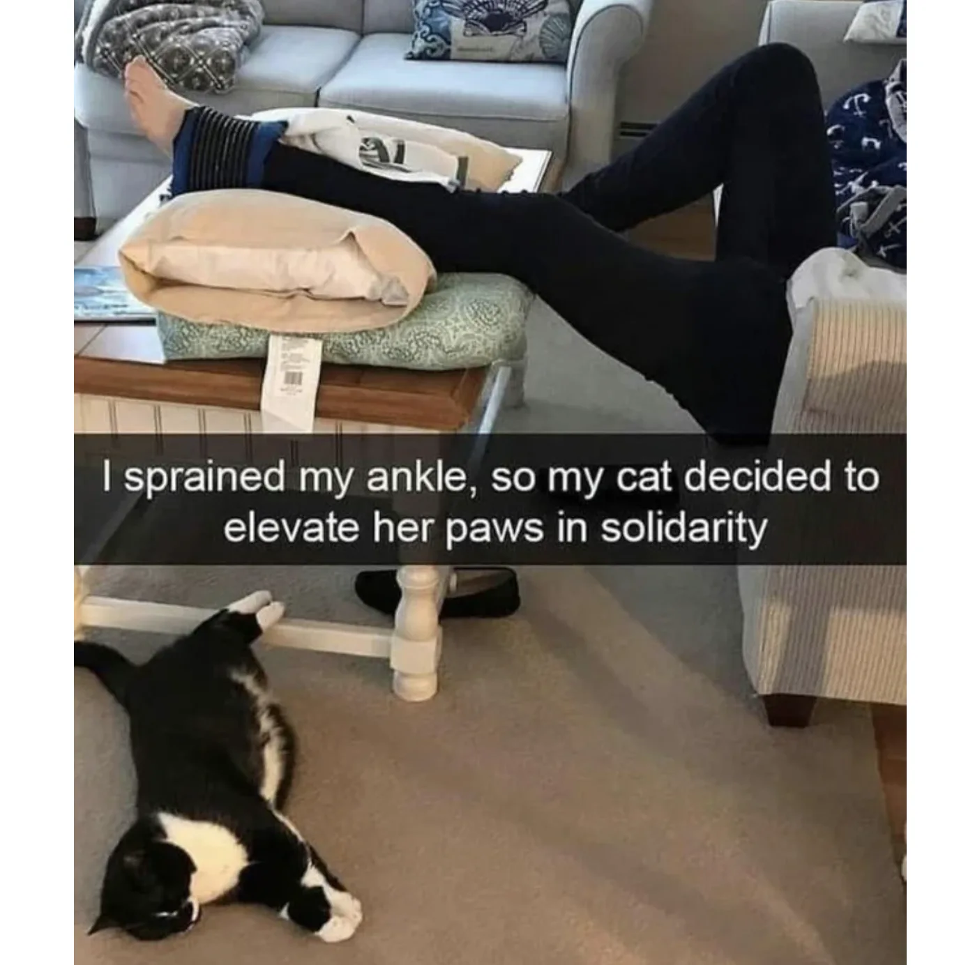 Image credit: Reddit | Practical-Proposal28