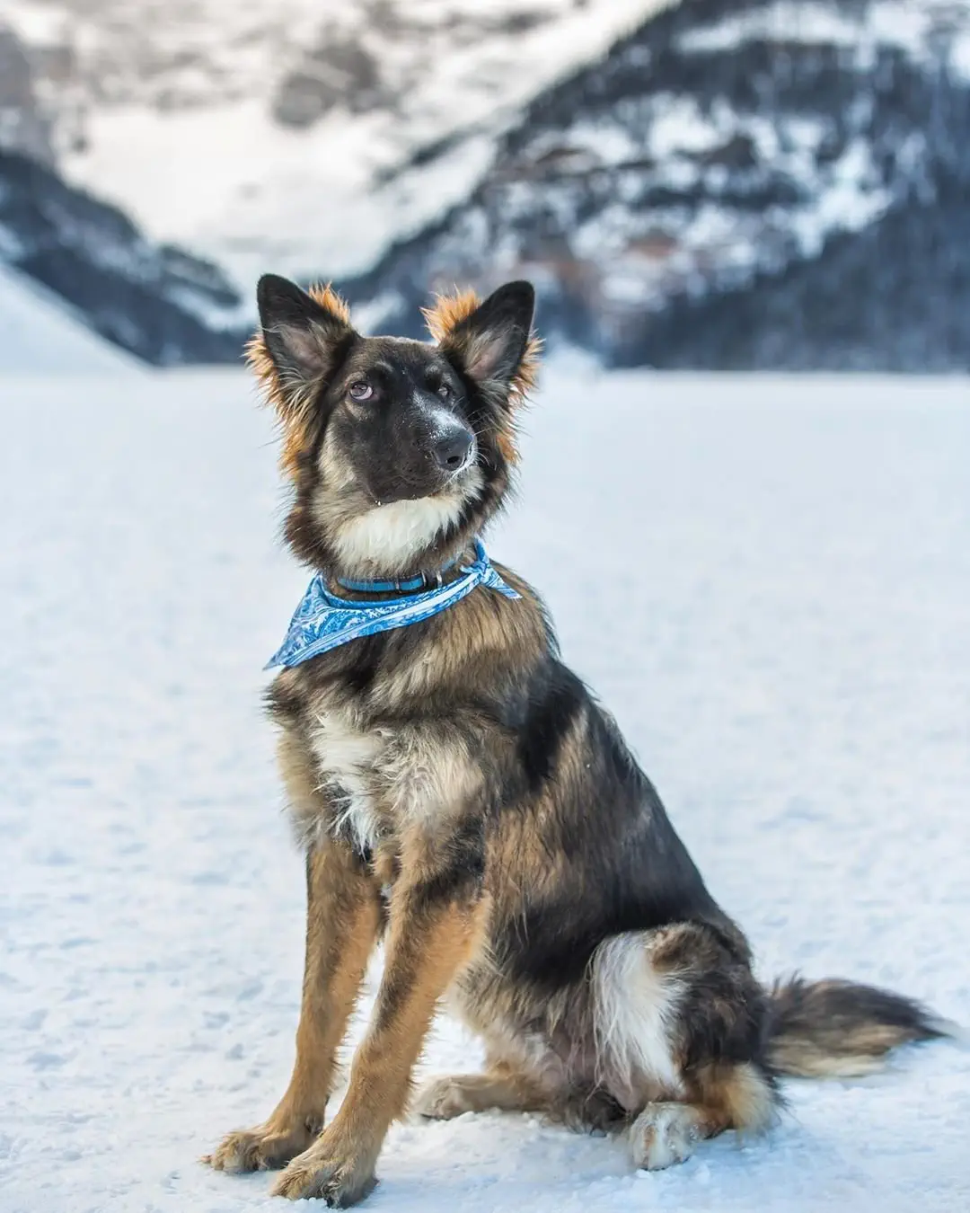 Image credit: Instagram | @bestboybrodie