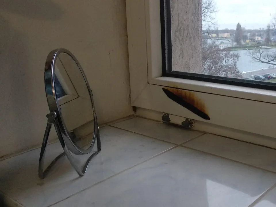 Image credit: Reddit | FreeloadingPoultry