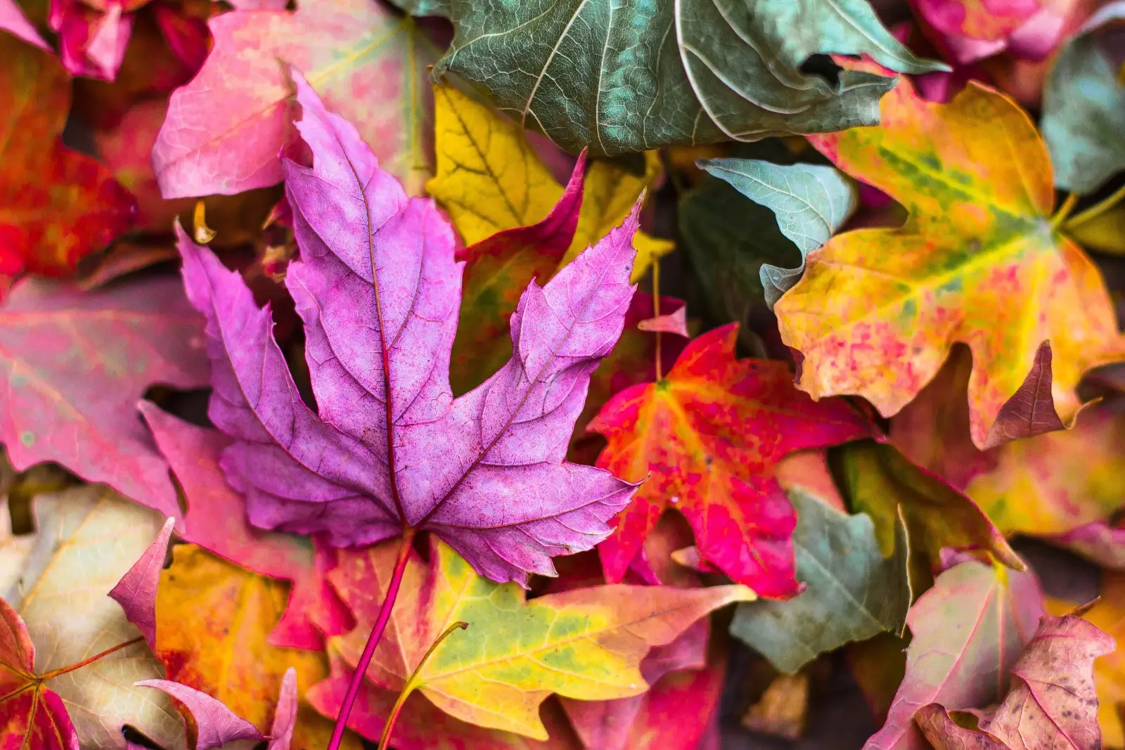 Image credit: Unsplash | Jeremy Thomas
