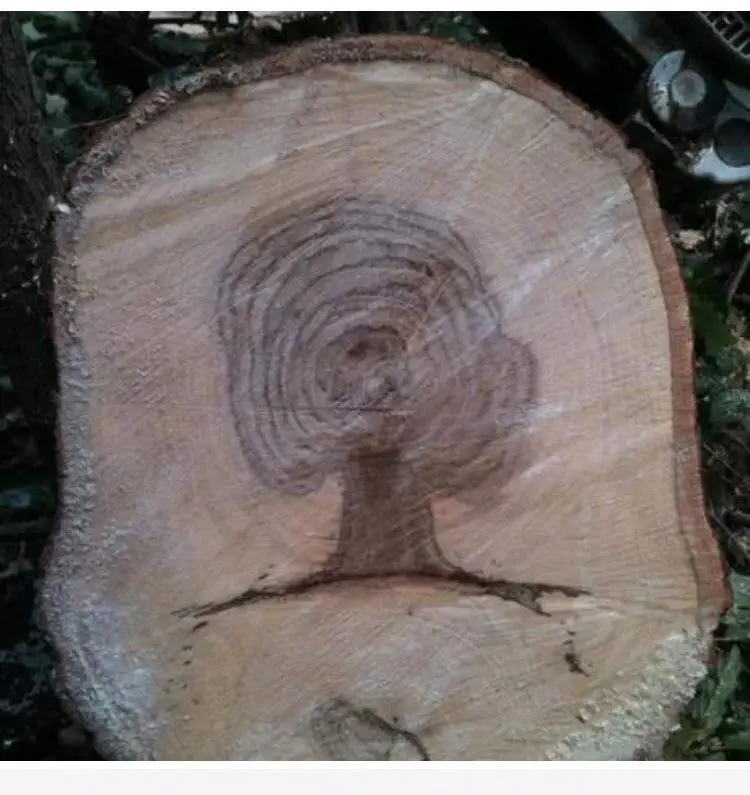 Image credit: Reddit | u/saurabhred
