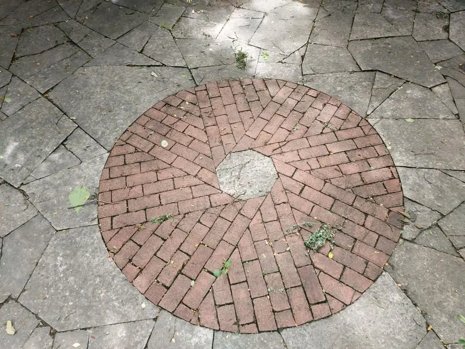 Image credit: Reddit | dleewee