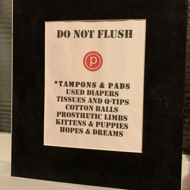 Image credit: Reddit | u/specialvixen