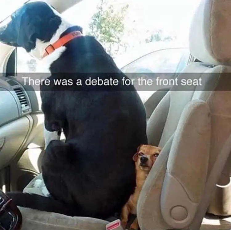 Image credit: Reddit | Linguini_Fettuccine