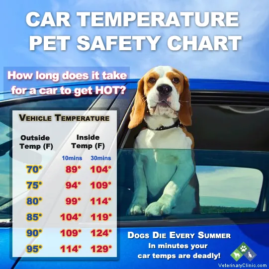 Image credit: VeterinaryClinic.com