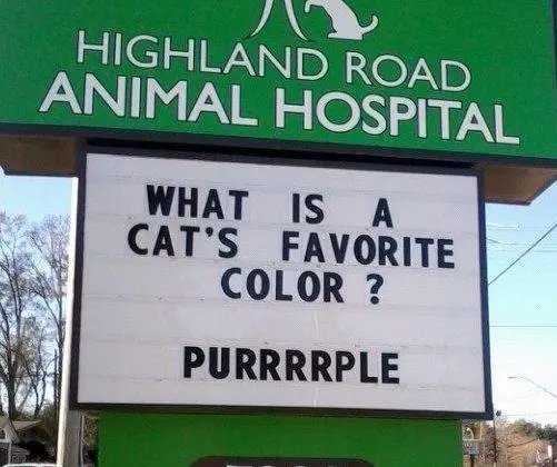 Image credit: Facebook | Highland Road Animal Hospital