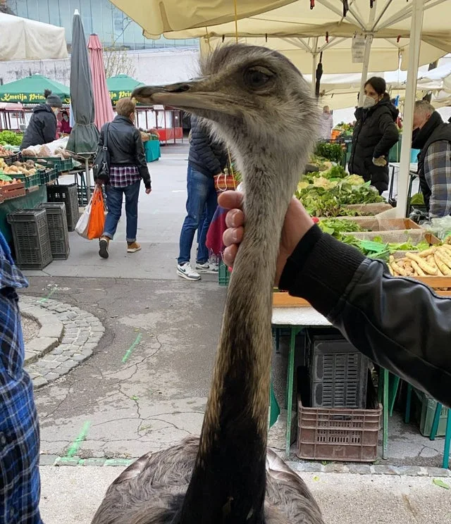 Image credit: Reddit | randomperson18492