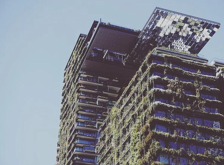 Image credit: Instagram | @centralparkmall_