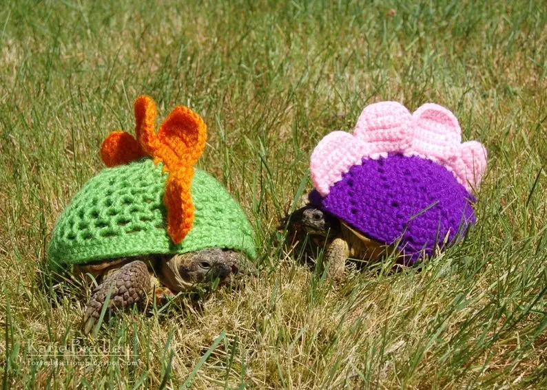 Image credit: Etsy | MossyTortoise