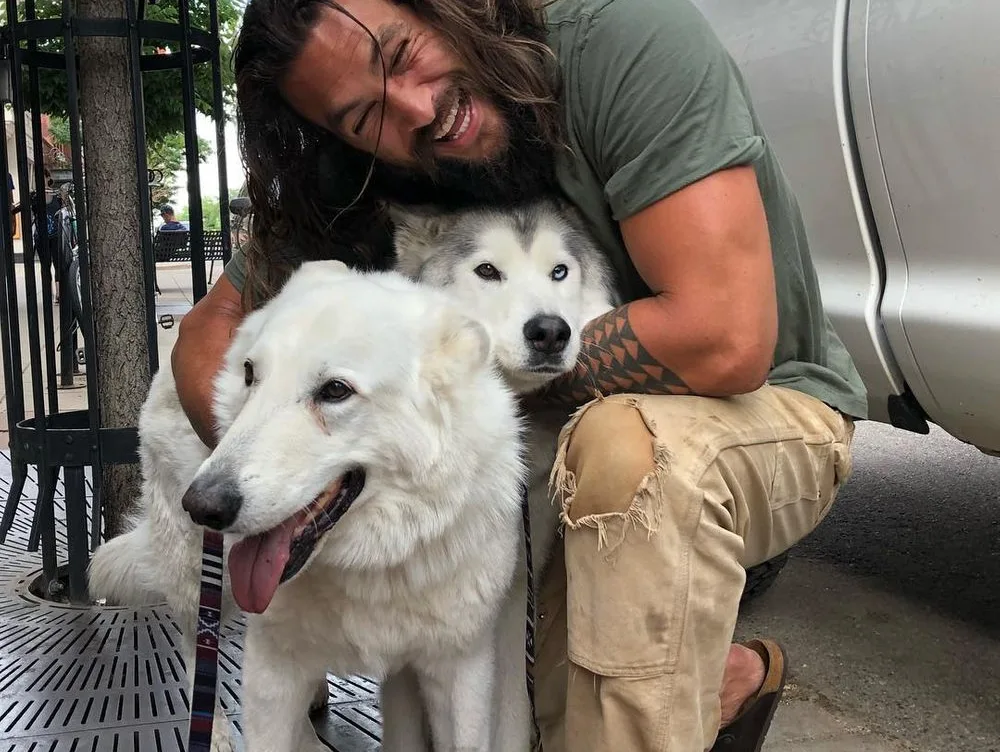 Image credit: Instagram | @prideofgypsies