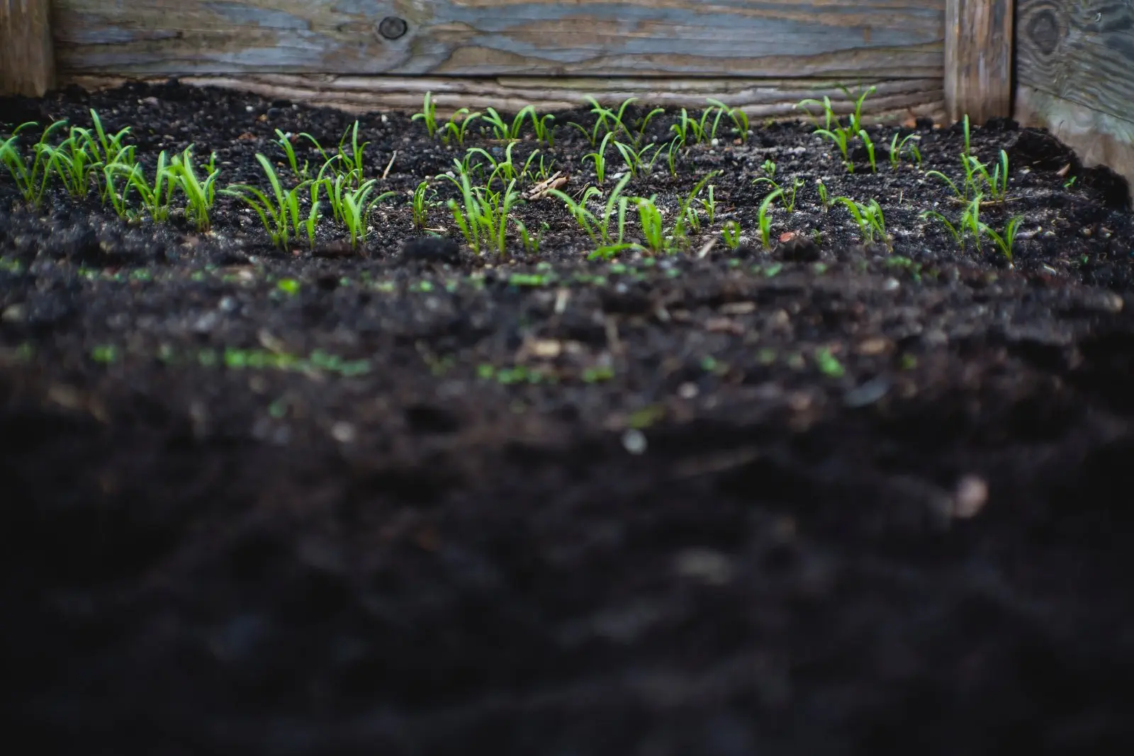 Image credit: Unsplash | Markus Spiske