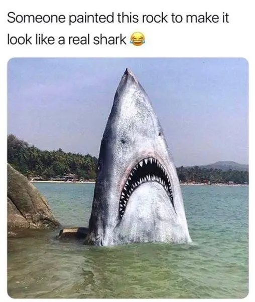 Image credit: Instagram | @meme.w0rld