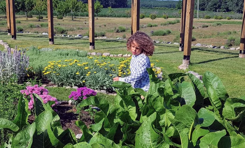 Image credit: Cherry Point Farm & Market