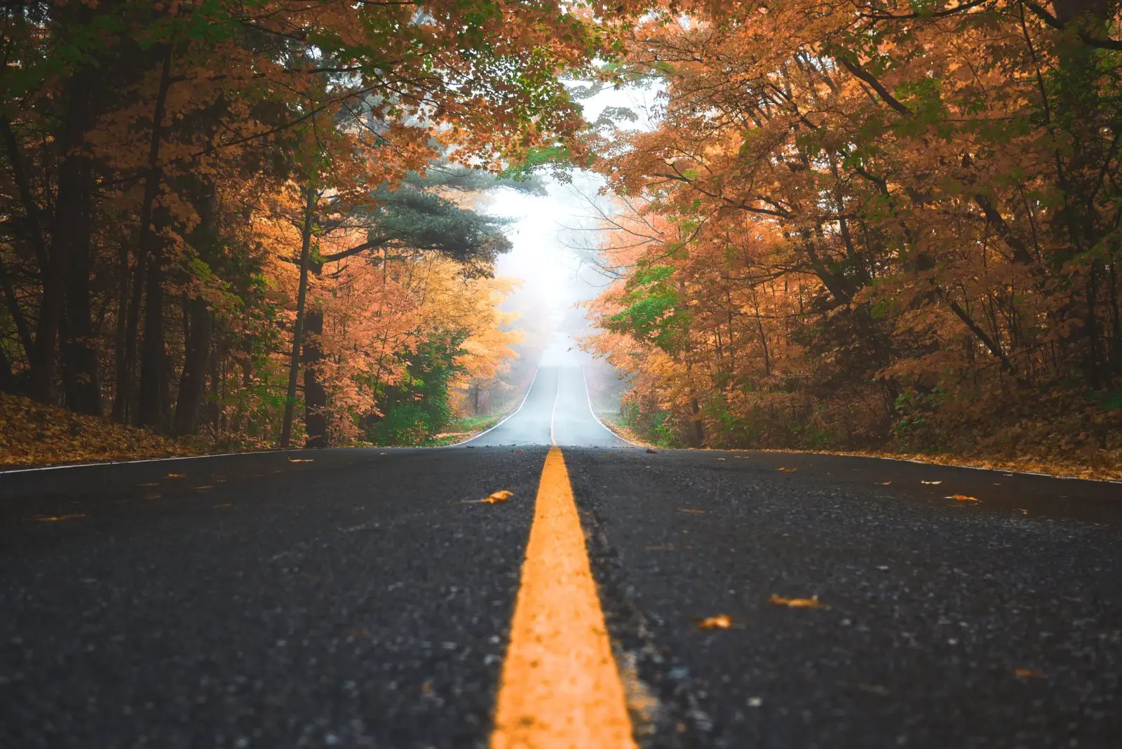 Image credit: Unsplash | Patrick Tomasso
