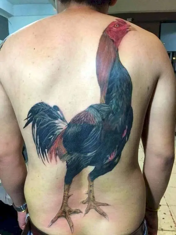 Image credit: Reddit | Nicolasrvmoraes