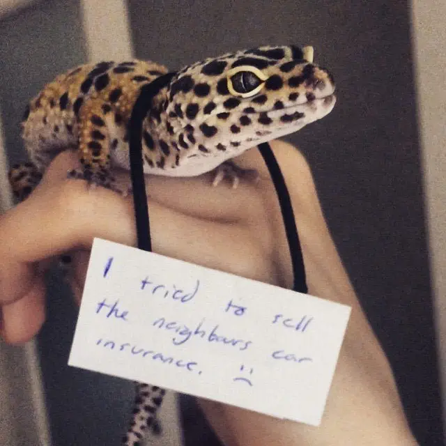 Image credit: Reddit | GallowBoob