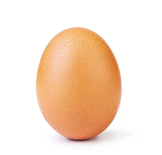 Image credit: Instagram | @world_record_egg