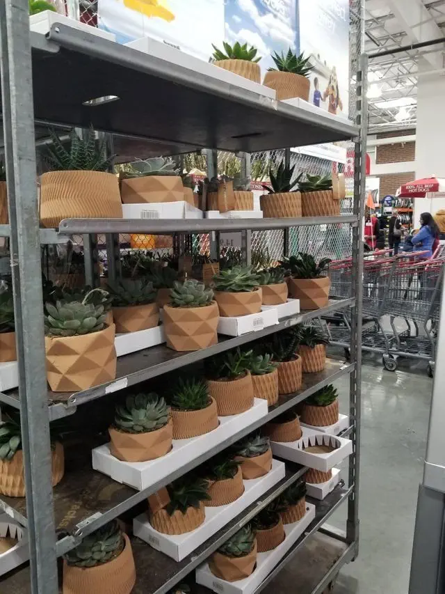 Image credit: Reddit | Hinz_Ketchup