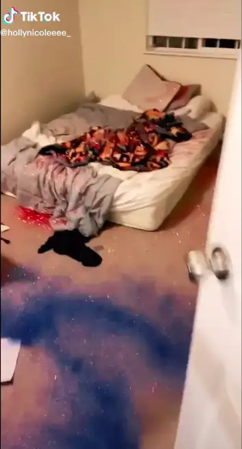 Image credit: TikTok | @hollynicoleeee_
