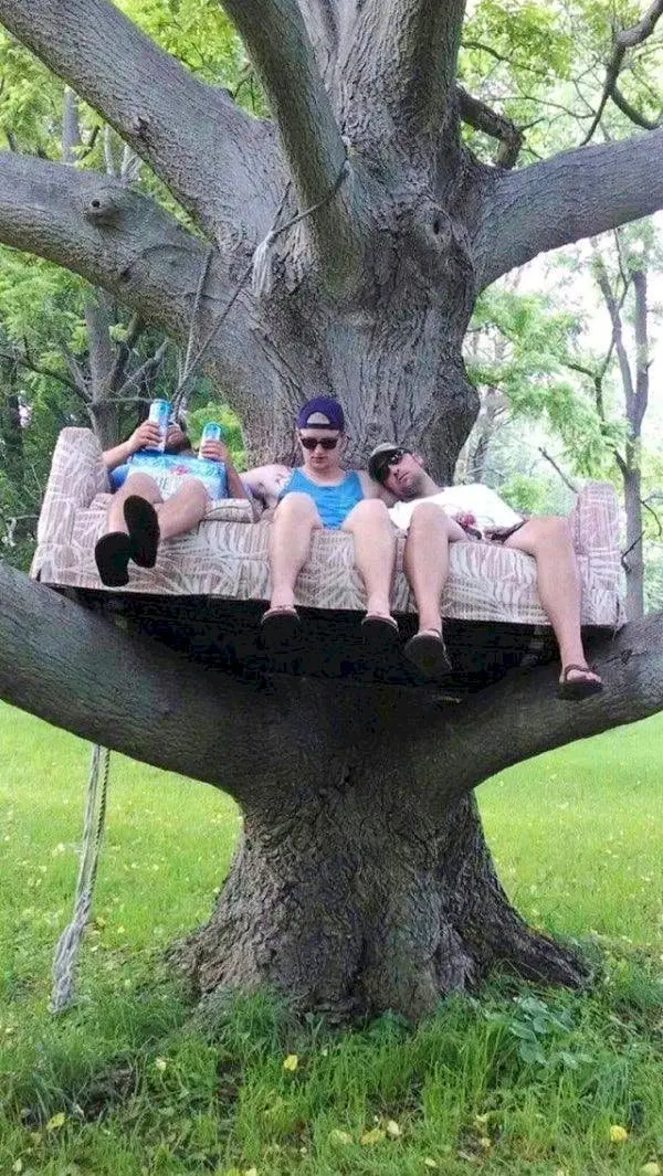 Image credit: The Chive | The Chive