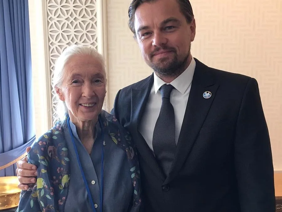Image credit: Instagram | @Leonardodicaprio