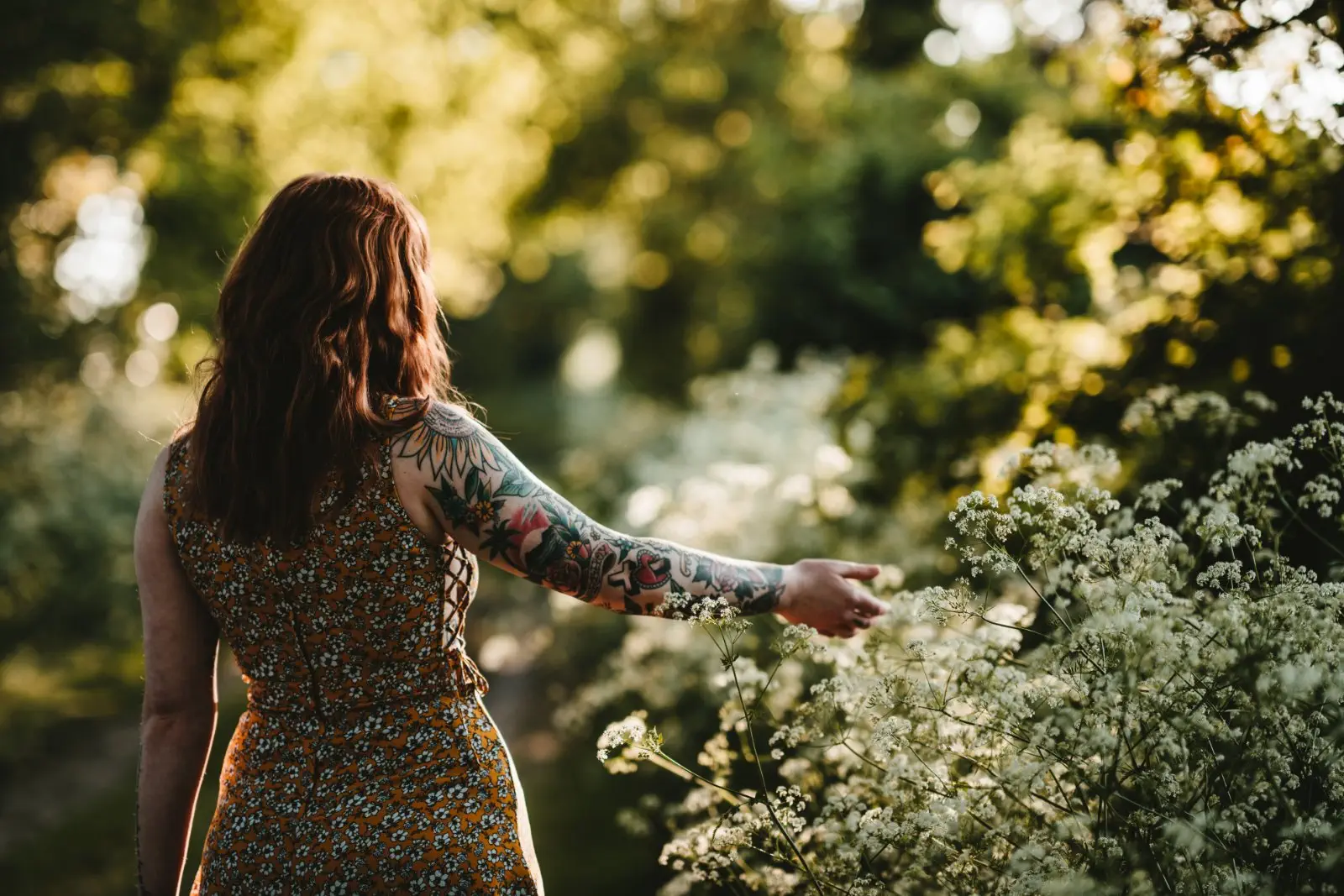 Image credit: Unsplash | Annie Spratt