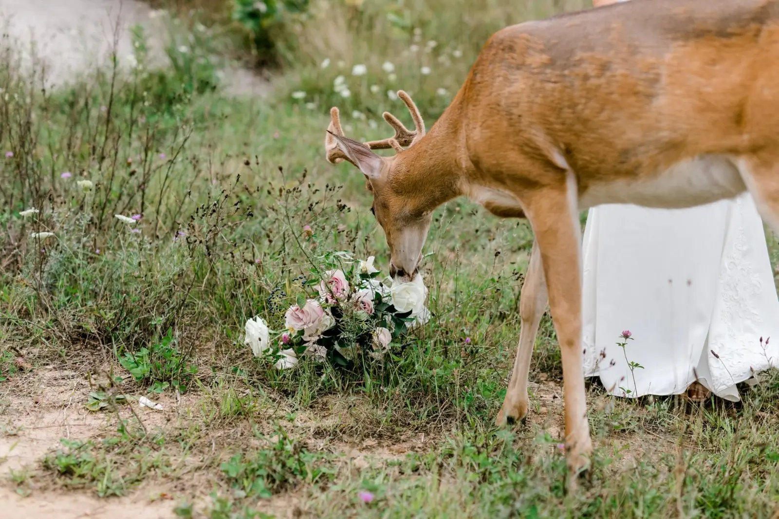 Image credit: Facebook | Laurenda Marie Photography