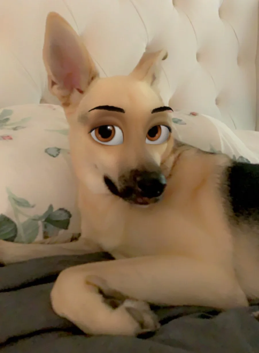 Image credit: Twitter | @SleepingBrookie