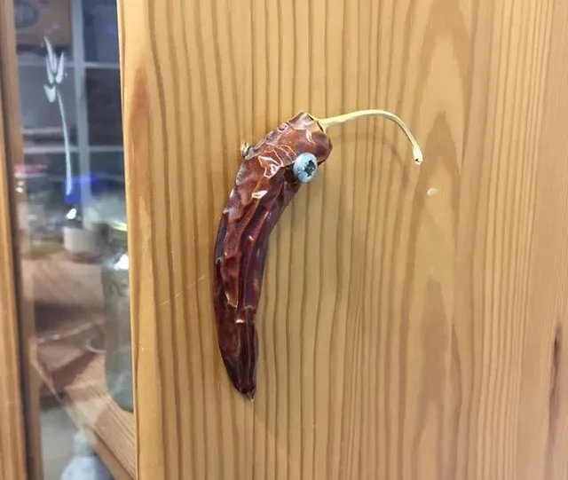 Image credit: Reddit | BandaidPuppet
