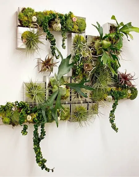 Image credit: Pinterest