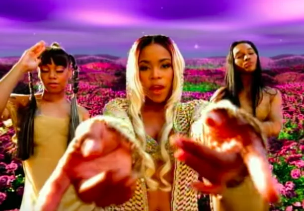 Image credit: YouTube | TLCVEVO