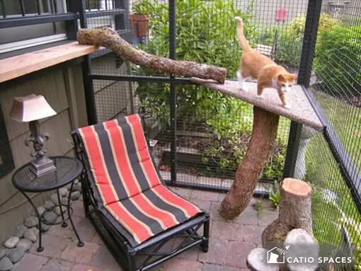 Image credit: Catio Spaces