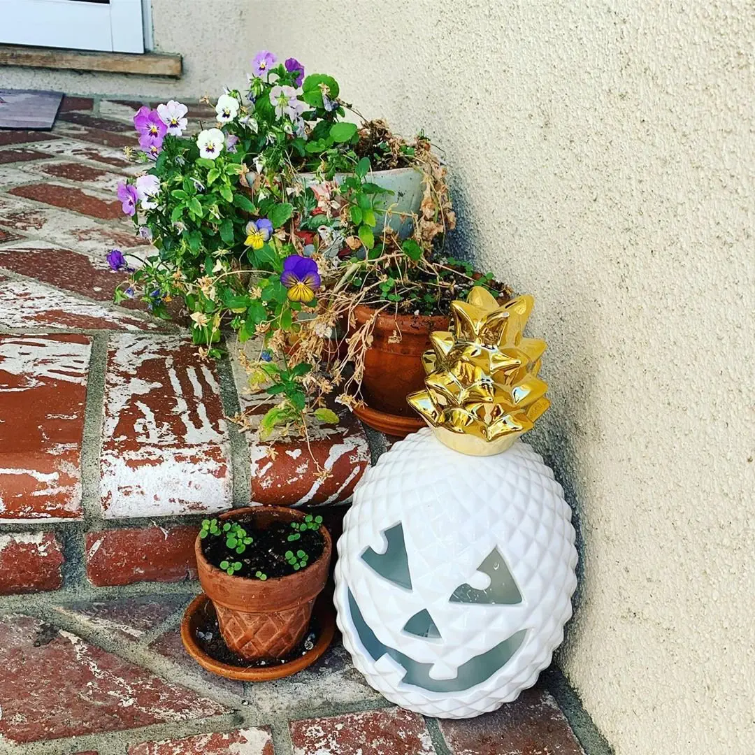 Image credit: Instagram | @halloween_treasures
