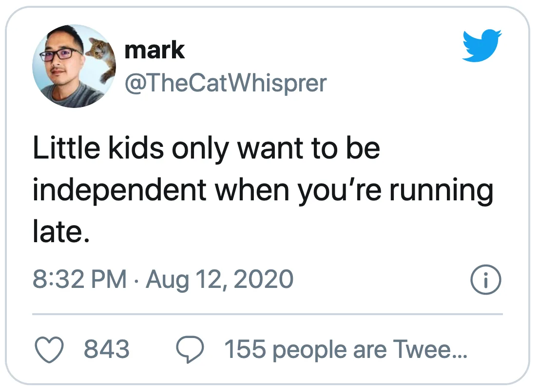 Image credit: Twitter | @TheCatWhisprer