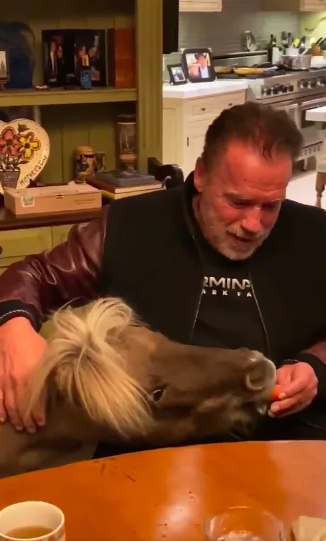Image credit: Twitter | @Schwarzenegger